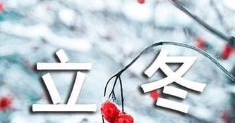 立冬里的万物生灵（感受季节变迁中的美好）