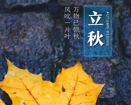 《夏天的离去》