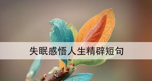总是睡不着的痛苦（总是睡不着的痛苦）