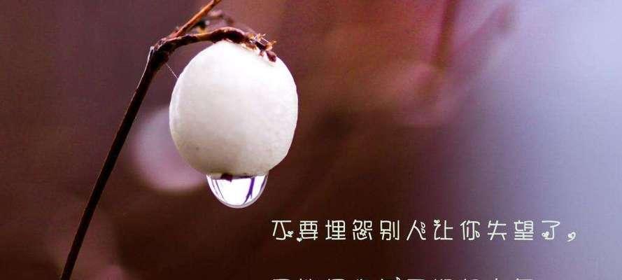 突如其来的寒意——寒冬的第一天（唯美寒冬）