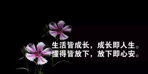 悲伤生活中的无奈
