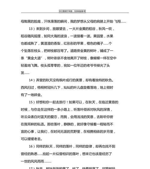 秋天的韵味：一场心灵的盛宴
