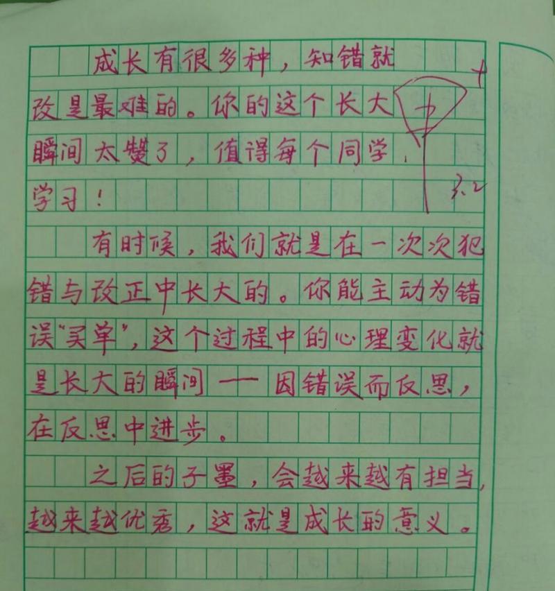 评语简短，言简意赅（学生的成长离不开老师的指导）