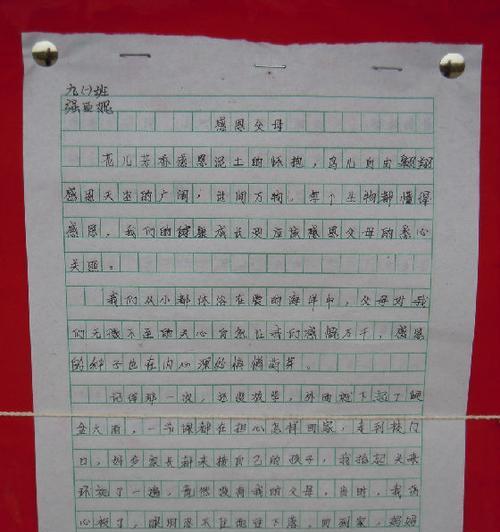 阳光下的成长之路
