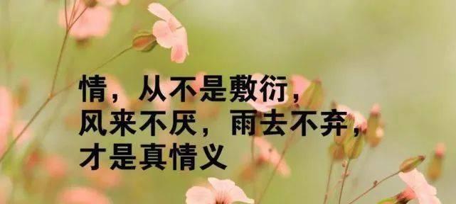淡泊人生（行走在唯美的文字中）