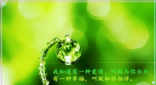 光棍节，伤感唯美说说（25句让你感受孤独的美）