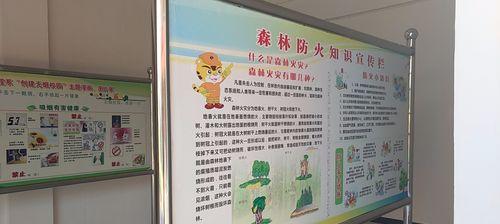 绿色山林，防火先行（用爱心守护自然）