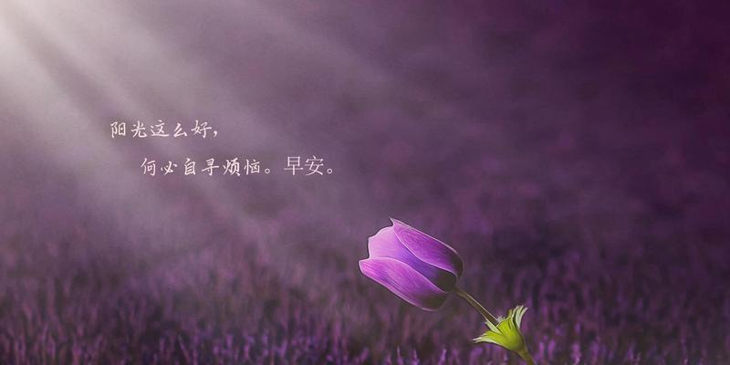 寻觅仲夏的美好（以处暑早安心语为引）