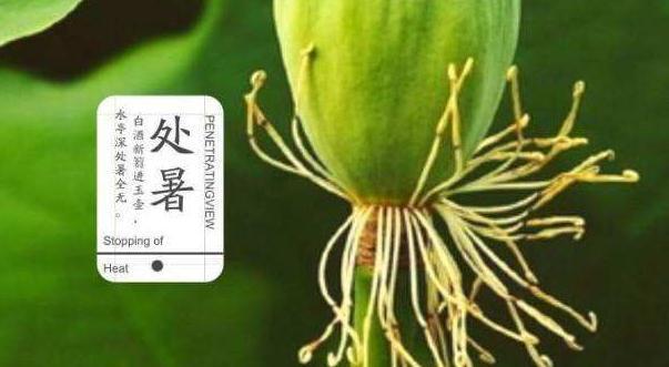 天高云淡，秋风送爽（处暑温馨祝福语）