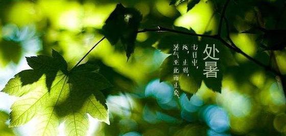 别样风情（别样风情）