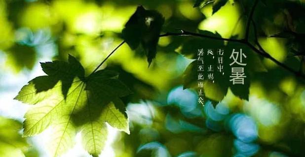 以唯美短句为主的处暑祝福语（炎热结束）