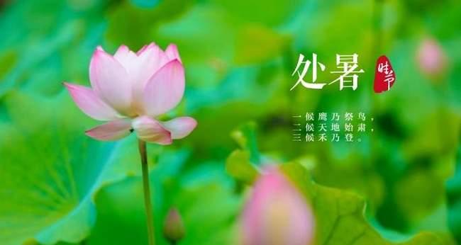 处暑节气祝福语说说（精选25句）