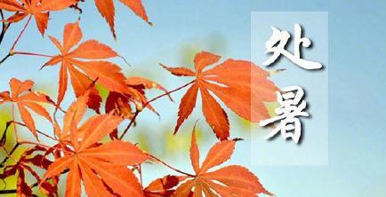 秋意袭来，以处暑节日，祭过往岁月（时光荏苒）