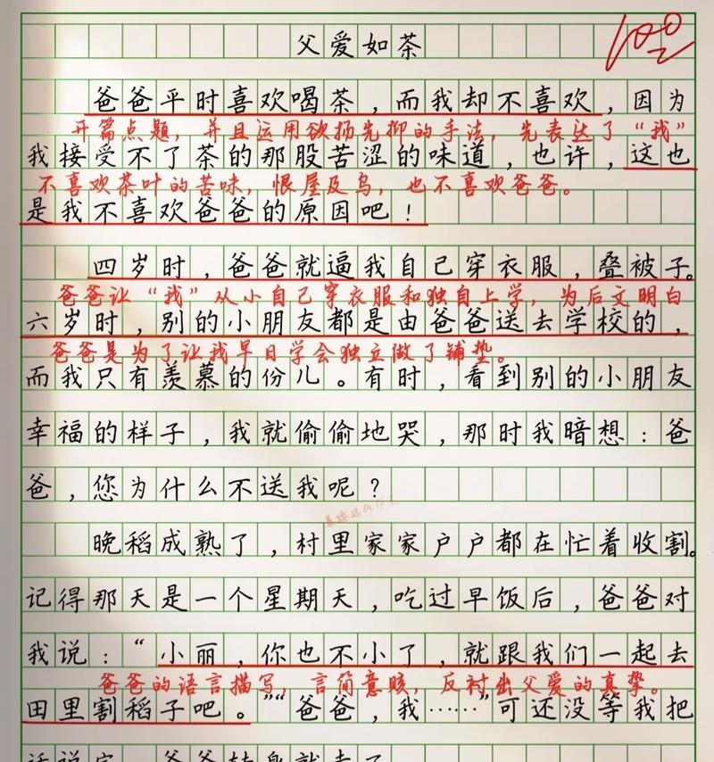 从小镇到世界的真挚友谊（从小镇到世界的真挚友谊）