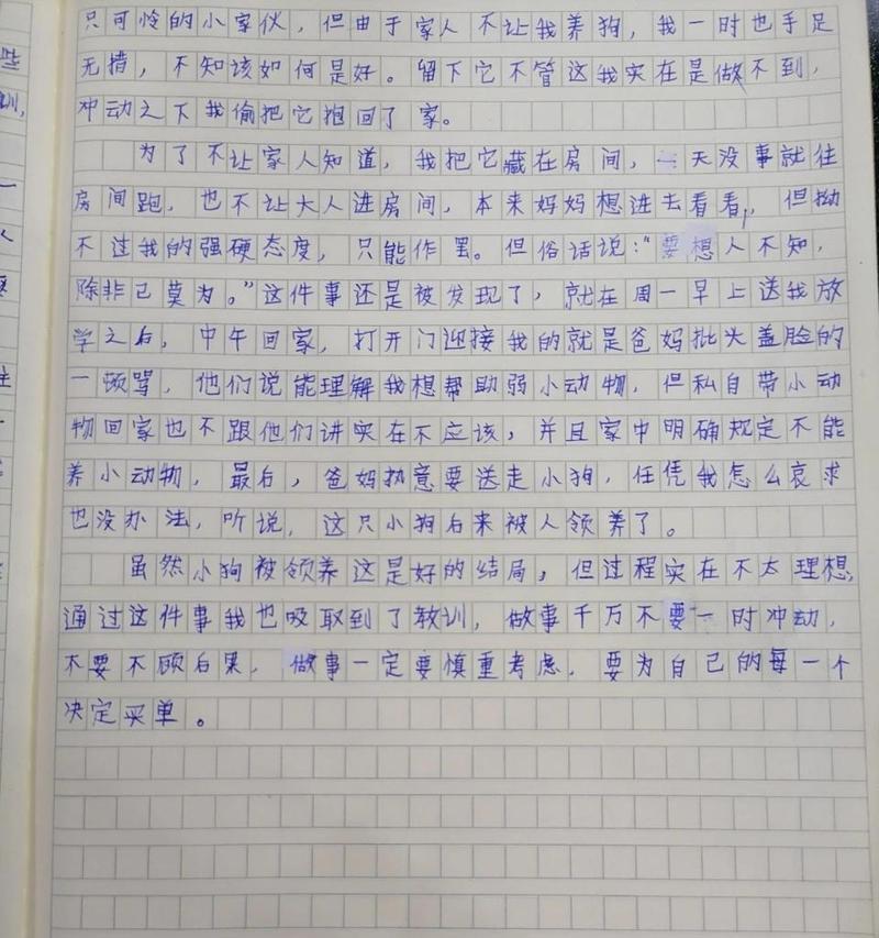 小小的举动，温暖了我的心（我被表扬了）