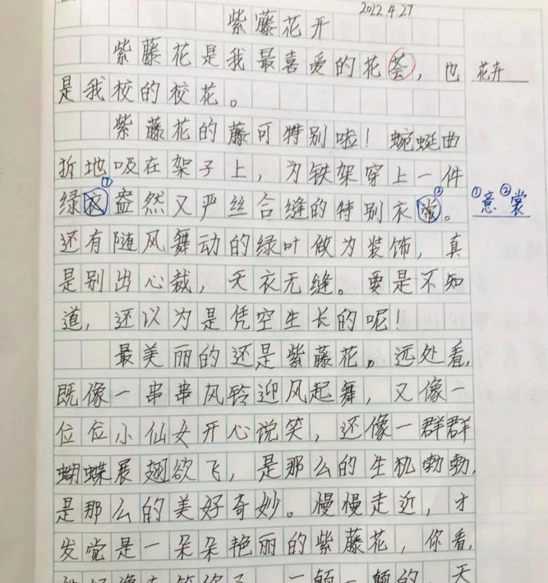 《成长的背后》（探索成长故事）