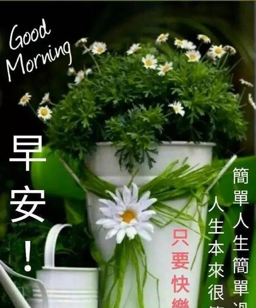 周一早安暖心问候语唯美句子（让周一变得温暖的25句话）