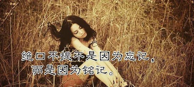 《心灵的呼唤》——以直击心灵的励志唯美句子