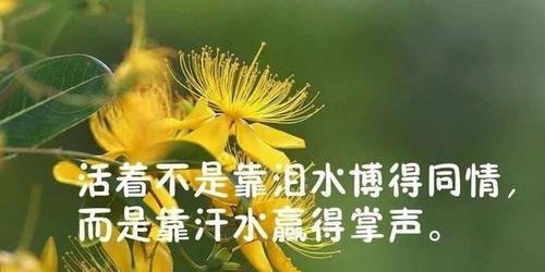 珍贵的扎心，唯美的现实（用心感受生命的美好）