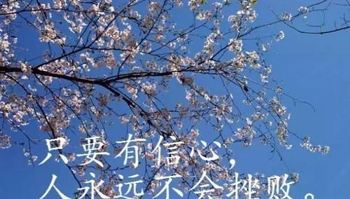 唤醒内心的力量，寻找内心的平静（唤醒内心的力量）
