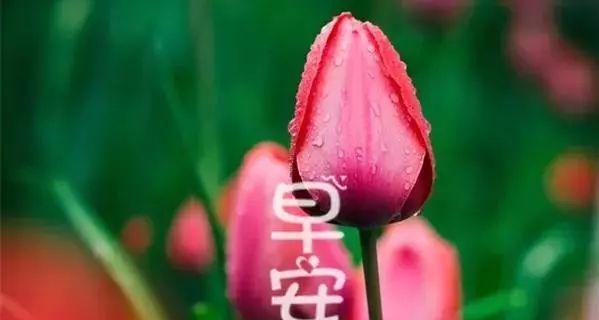 心灵诗歌-唯美短句（走进灵魂深处）
