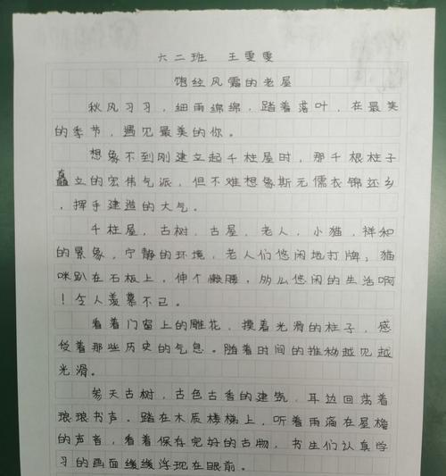 坚持不懈，铸就成功之路（一个勇敢少年的成长故事）