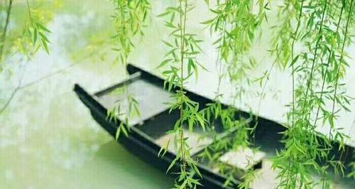 一个渔夫的成长之路（一个渔夫的成长之路）