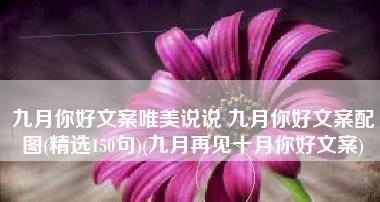 告别了夏日的繁华，迎来了秋日的温馨（告别了夏日的繁华）
