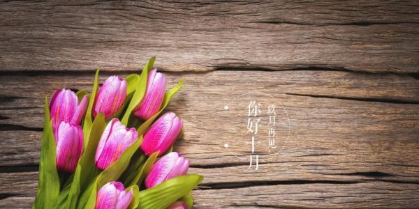 告别了夏日的繁华，迎来了秋日的温馨（告别了夏日的繁华）