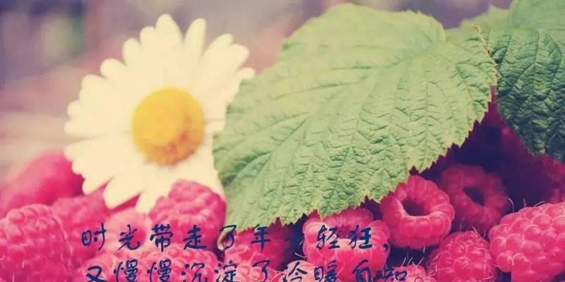 九月心情（秋意柔软）