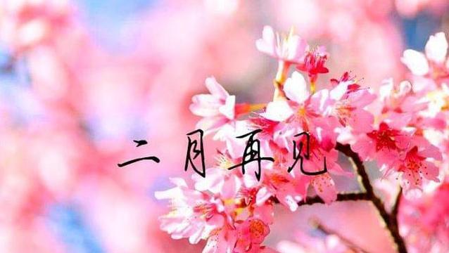 欢颜迎接未来（2024年的最后一天）