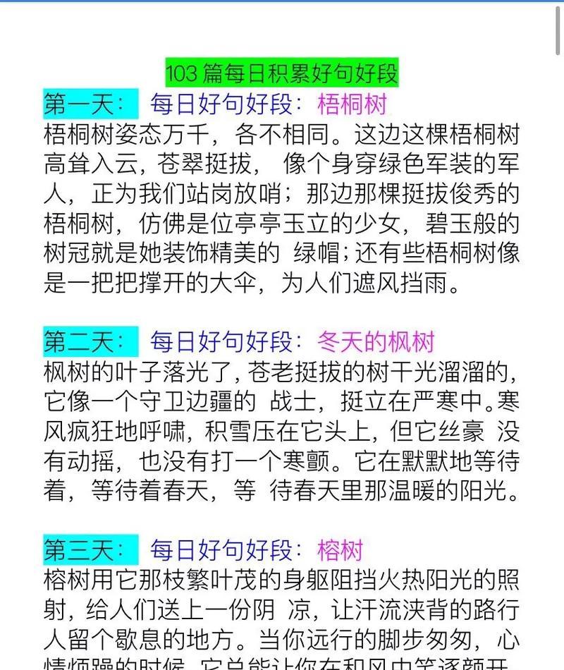 2024最唯美抖音句子——沉淀于心，绽放于时