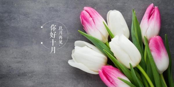 秋意渐浓，九月的美好时光（走进初秋）