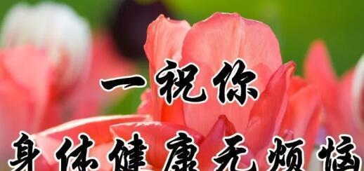《重阳逢九九，祝福遍天涯》