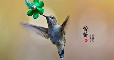 震撼的季节初现，春天就在眼前（震撼的季节初现）