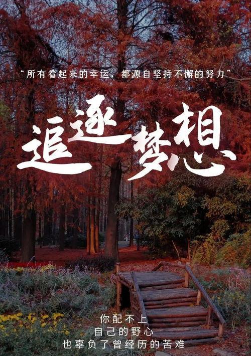 伤痛与坚持（以经历伤害才能更加坚强）
