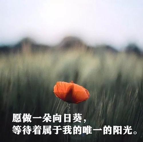 一路有你，不畏艰险（一路有你）