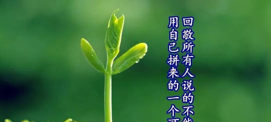 一路有你，不畏艰险（一路有你）