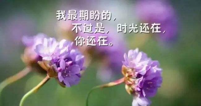 自爱从头开始——2024年光棍节朋友圈说说句子大（一篇关于单身汪们自爱、独立的文章）