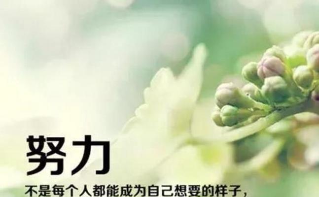 经典哲理，心灵之源（唯美短句）