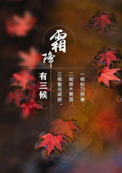 今日霜降，寒气渐浓。在这美好的早上，让我们一起祝福。
