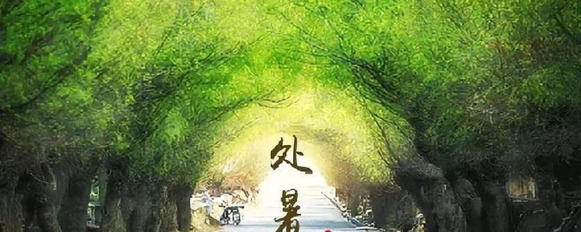 处暑送祝福：温馨祝愿送给你