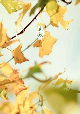 立秋之际，唯美短句（用短句表达立秋的美好）