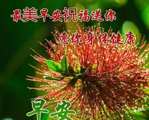 一场美丽的清晨（一场美丽的清晨）