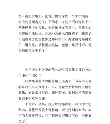 冬日童话（纯白的奇遇）