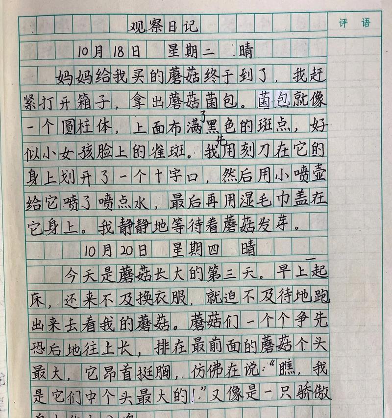 细心观察（一个小学生的发现）