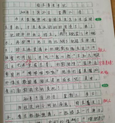 细心观察（一个小学生的发现）