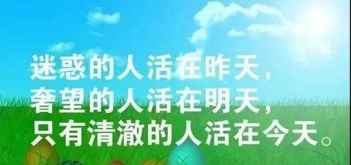 与现实共处的唯美短语，（与现实共处的唯美短语）