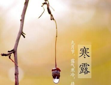 最美的寒露时节祝福语（爱在落叶纷飞中绽放）