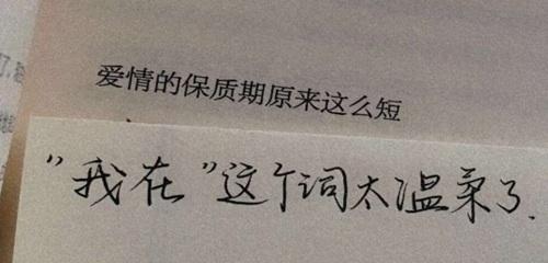 爱的微语（浅浅的话语）